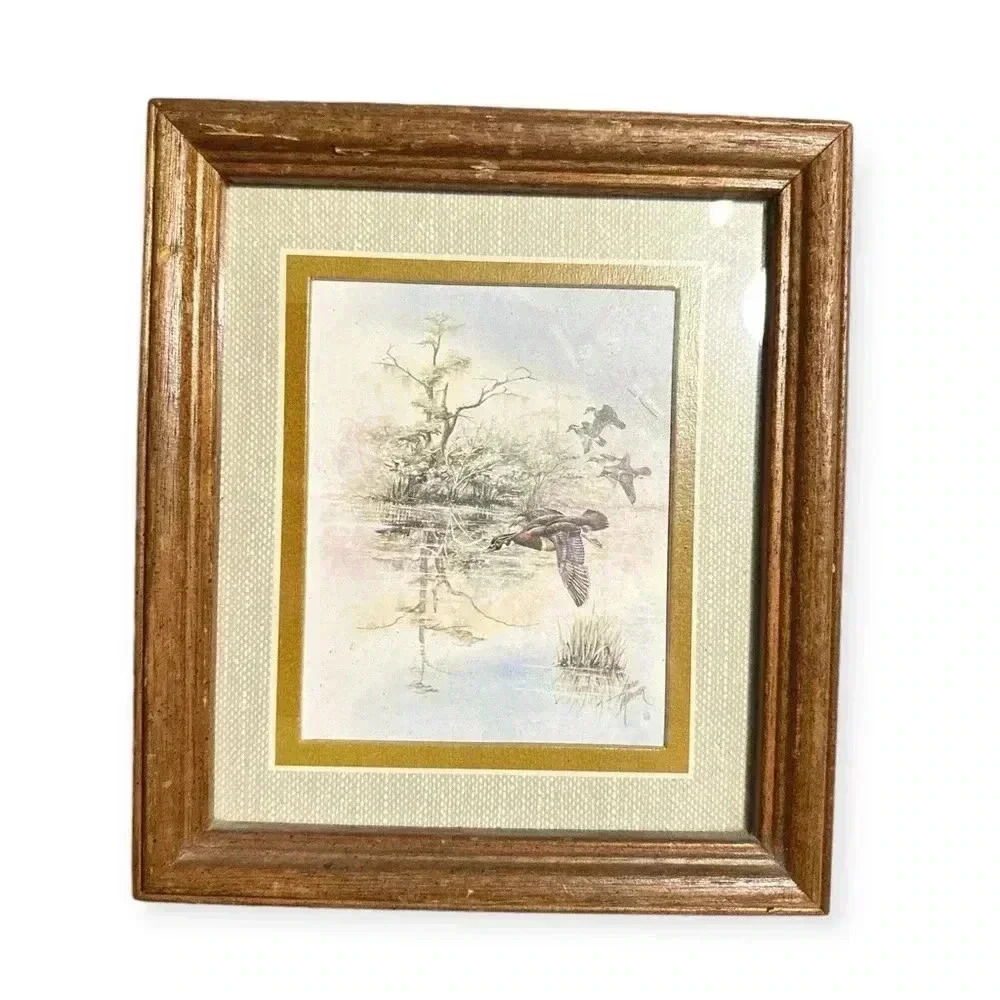 Vintage Framed Duck Nature Prints Set /2 Rustic Wooden Frames Wildlife Art Decor - Picture 4 of 6